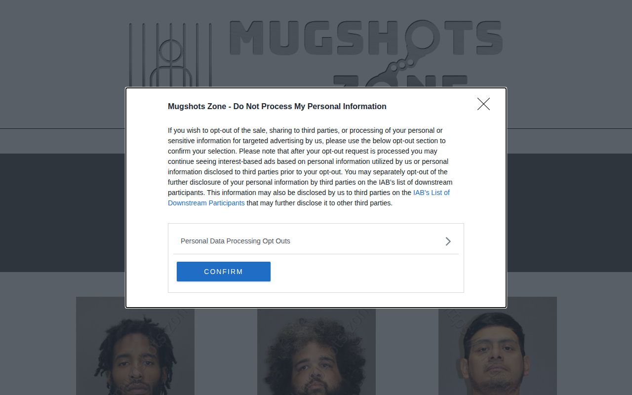 Unofficial Salem County Mugshots.zone arrest index interface